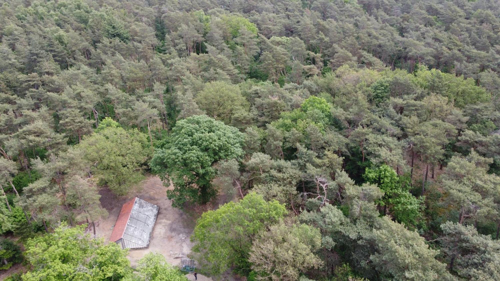 Natuurslaapkamer De Zaadeest Boskamer Lomm Exterior foto